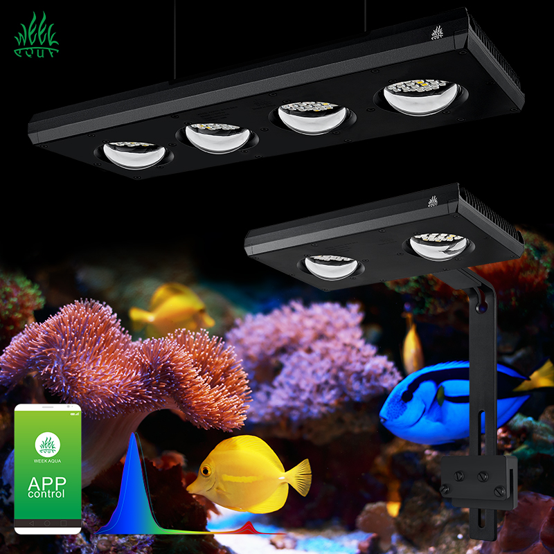 Aquarium Marine Blue - ZXY Лидер продаж WEEKAQUA Z250 Z400sea