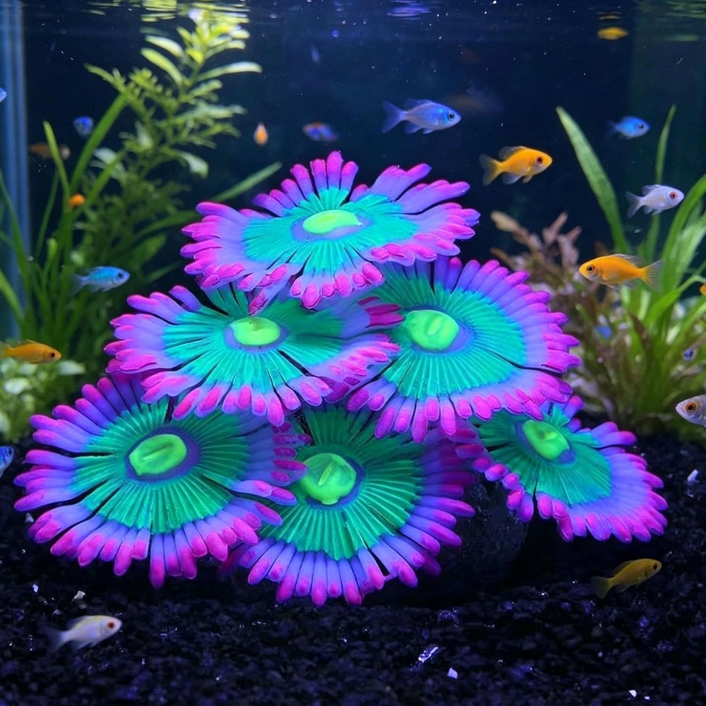 Aquarium Innovative Marine - Светящиеся мягкие силиконовые декорации для аквариума: