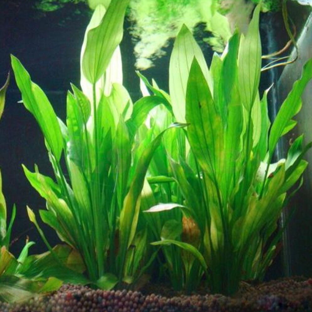 Aquarium Innovative Marine - 15 см искусственный декор для аквариума