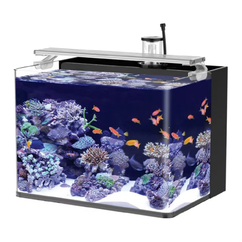 Marine Aquarium With Sump - Настольный изогнутый аквариум для морских рыб