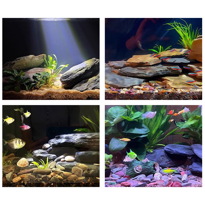 Набор камней для аквариума 500 – обзор и цена Marine Aquarium Tanks