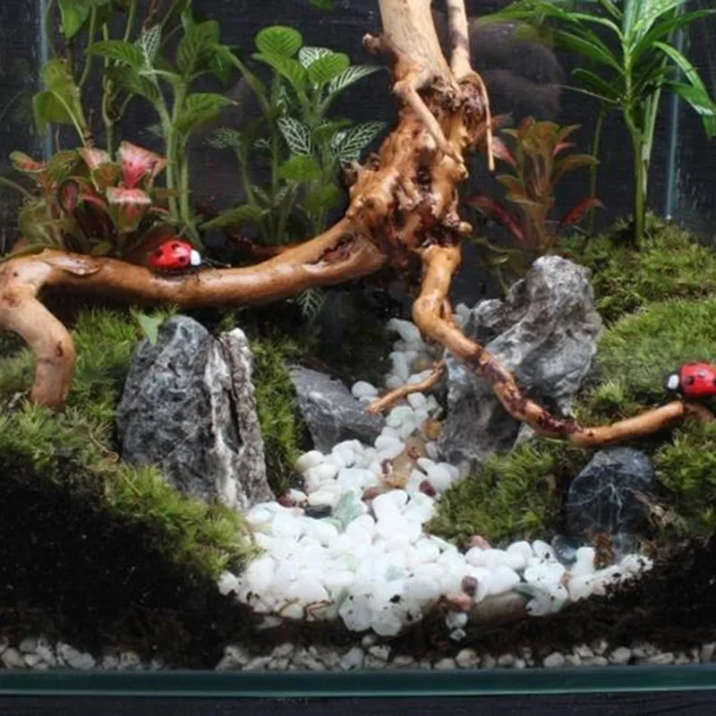 Натуральный ствол дерева Drift – обзор и цена Aquarium Innovative Marine