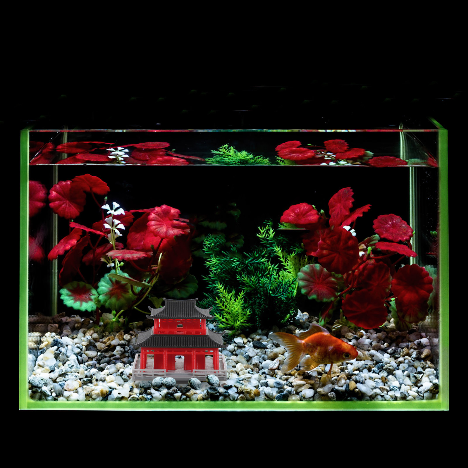 Миниатюрная пагода в стиле дре – обзор и цена Aquarium & Marine Museum Universiti Malaysia Sabah Kota Kinabalu Sabah
