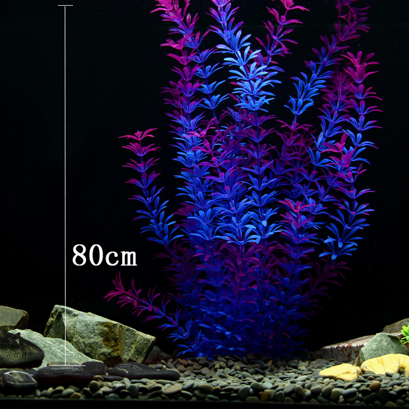 100 см Тропические растения, б – обзор и цена Marine Aquarium Tanks