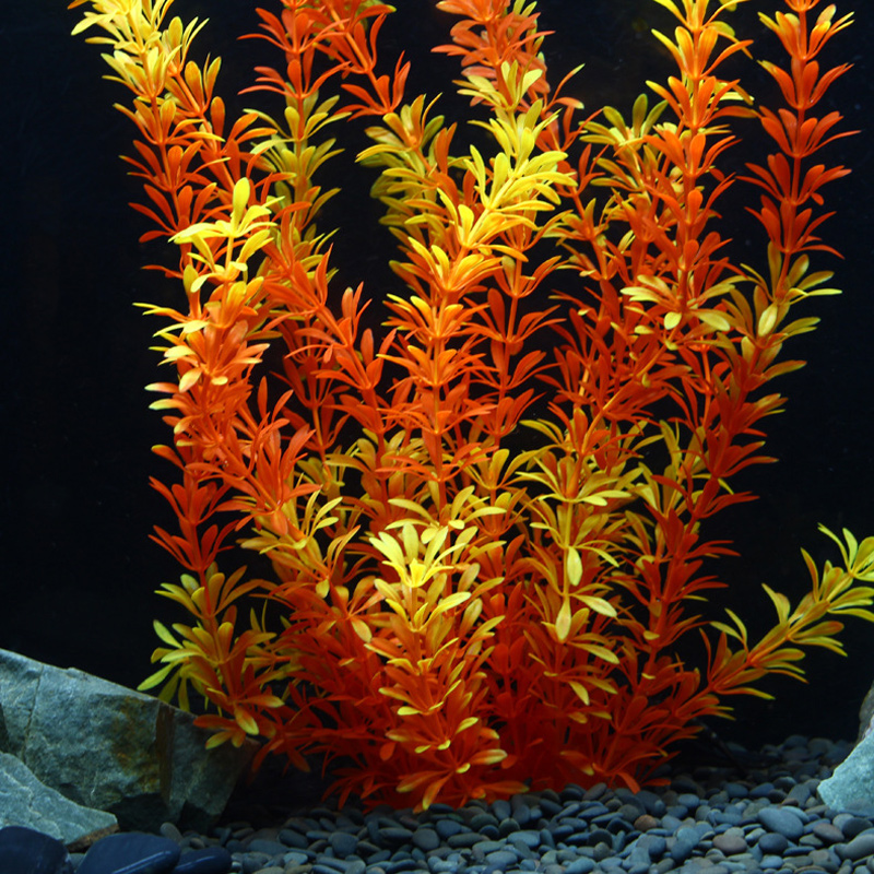 100 см Тропические растения, б – обзор и цена Marine Aquarium Tanks