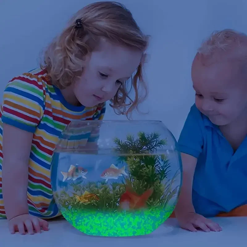 1000 шт. 3-5 мм светящийся пес – обзор и цена Marine Aquarium Tanks
