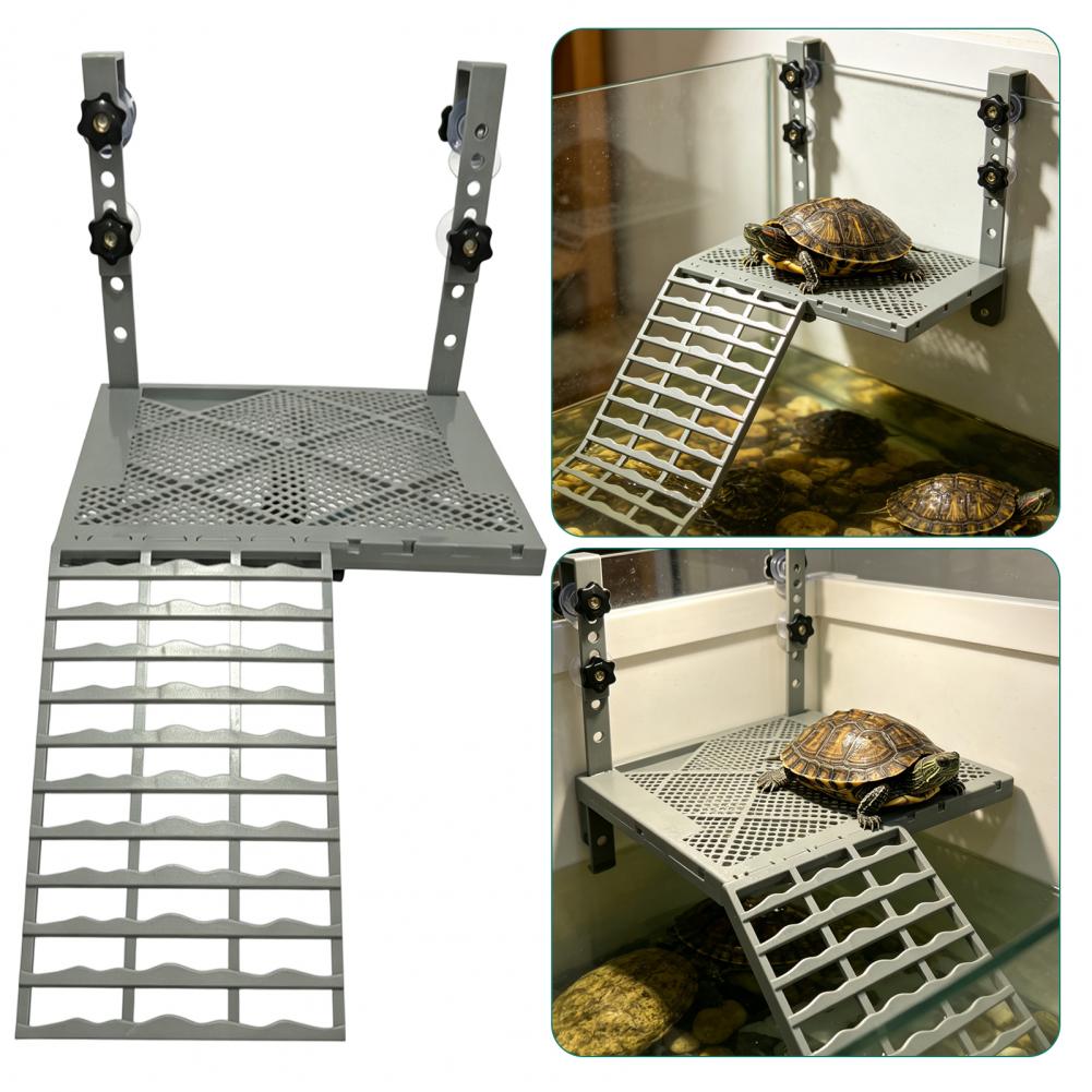 Декоративная подвесная платфор – обзор и цена Marine Aquarium Tanks