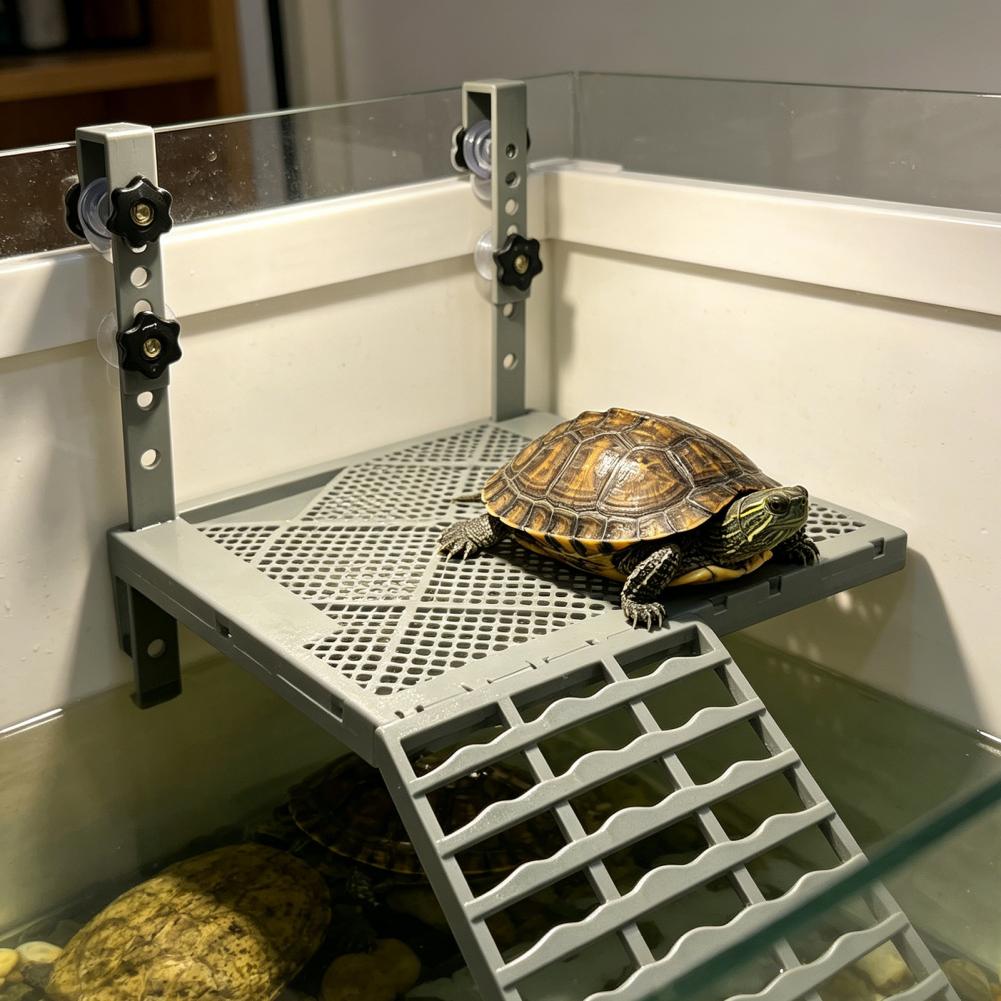 Декоративная подвесная платфор – обзор и цена Marine Aquarium Tanks