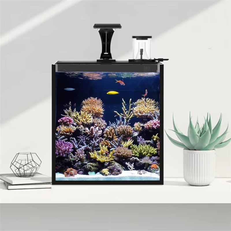 Настольный изогнутый аквариум  – обзор и цена Marine Aquarium With Sump